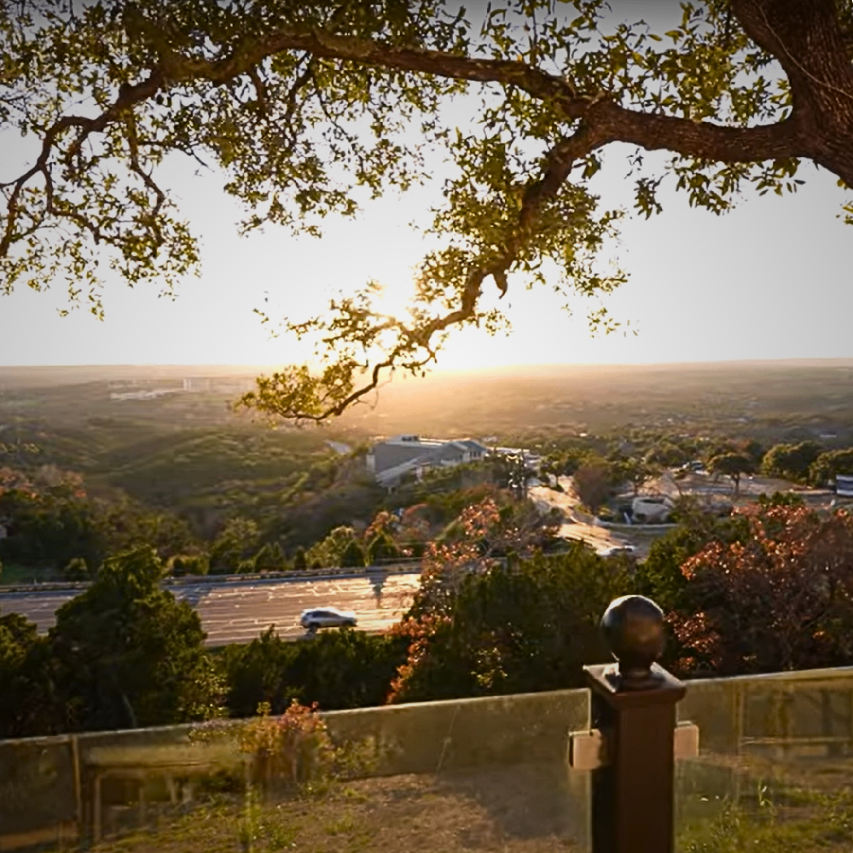 Sunset light through a live oak on the grounds at The Pinnacle at Westlake.
